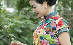 波德卡波娃 ed2k